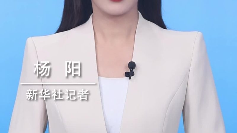 学校信息化管理平台：构建高效教育生态的关键